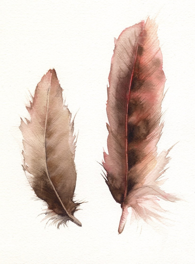 Feathers No. 2 feather painting, nature, archival print image 1