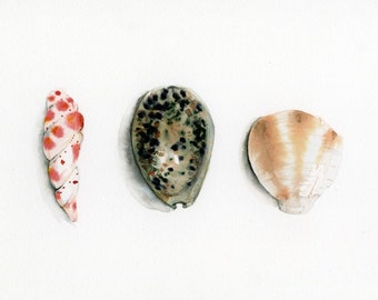 seashell art, Summer cottage Decor, seashell, minimalist, cottage chic, beach house, ocean