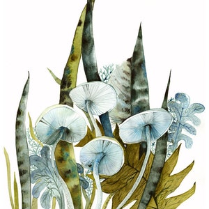 Woodland -archival print, contemporary botanical