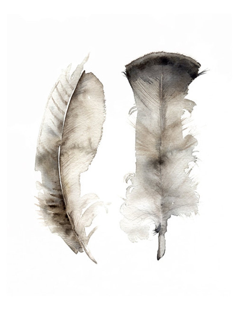 Peinture de plumes, art de plume, aquarelle de plumes impression dart Turquie Gravure de plumes de peinture à laquarelle originale image 2