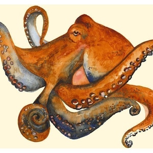 Octo - Octopus Art, nautical, ocean decor