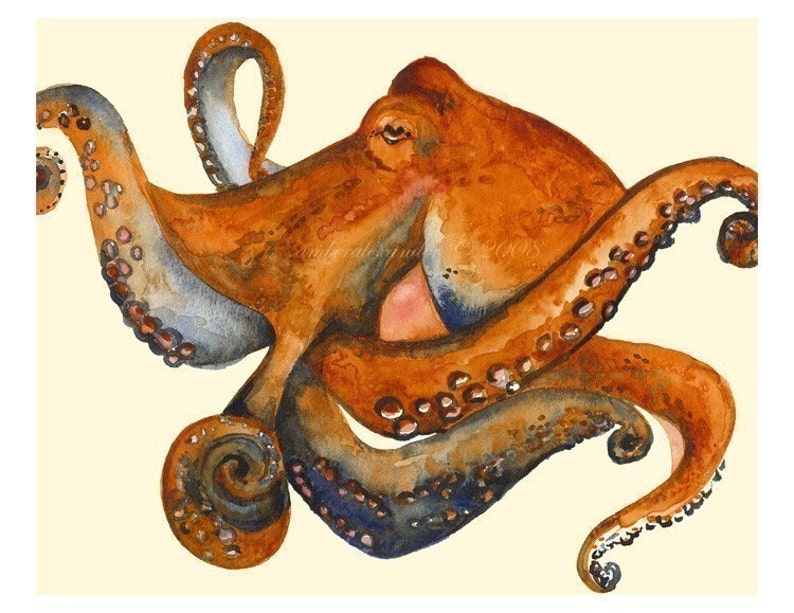 Octo Octopus Art, nautical, ocean decor image 1