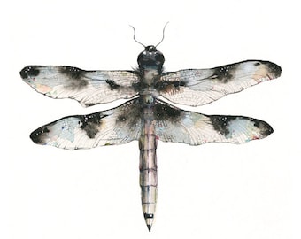 nature themed artwork - watercolor dragonfly