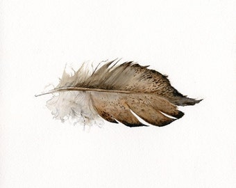 feather art - Gold Laced Wyandotte Feather- print