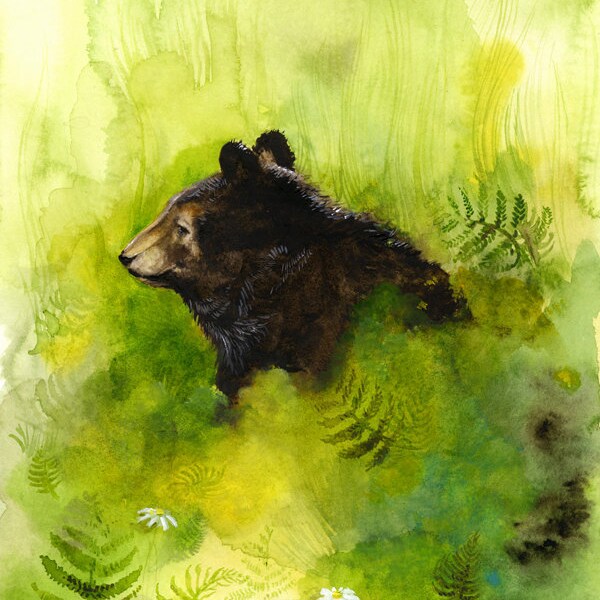 Meadow- Bear in Meadow Limited Edition Archival Print