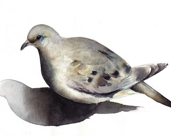 Mourning Dove- bird watercolor-Archival print -watercolor painting print