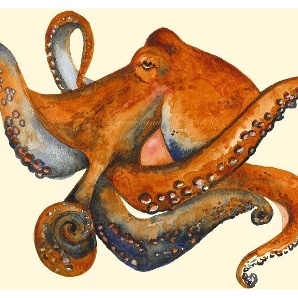 Octo - Print