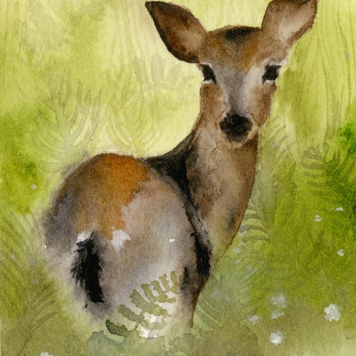 Field- Deer Watercolor Archival Print
