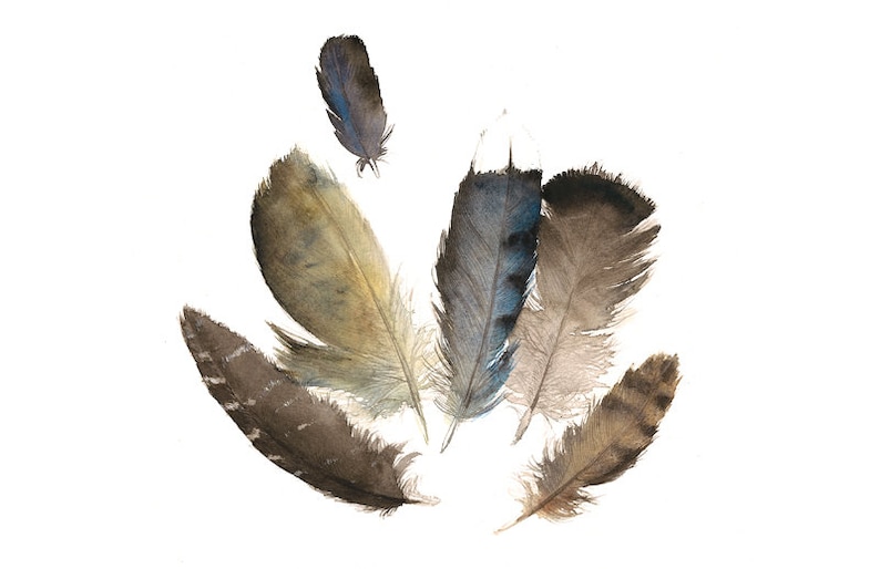 Found Feathers No. 4 print of watercolor image 1