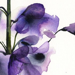 Delphinium botanical print, watercolor botanical, watercolor flowers, cottage chic image 2