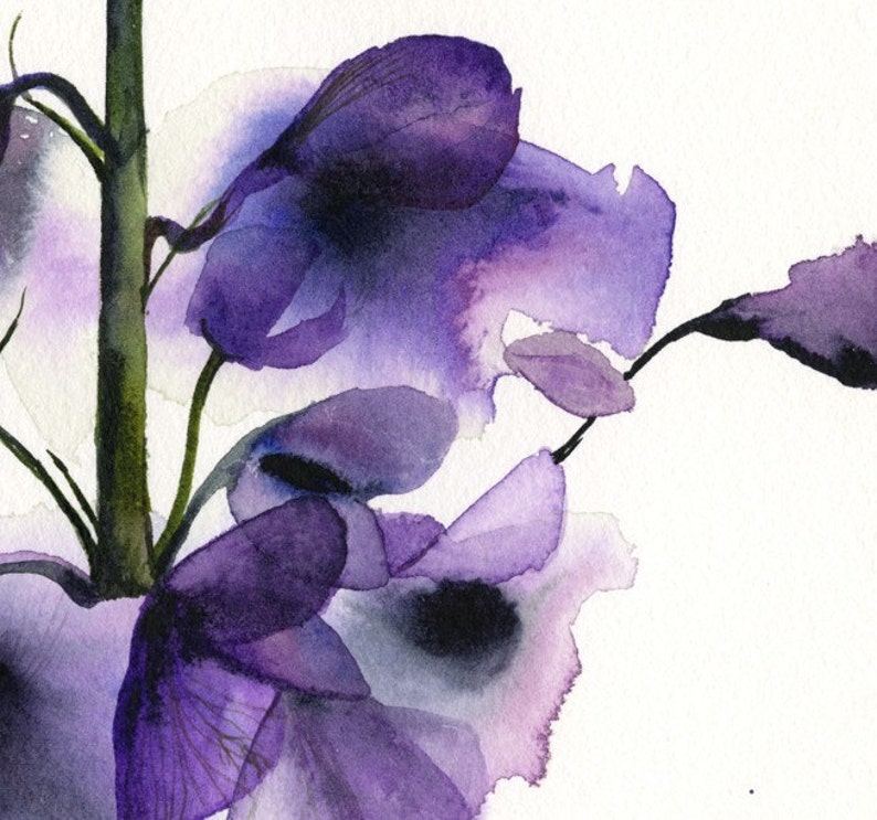 Delphinium botanical print, watercolor botanical, watercolor flowers, cottage chic image 2