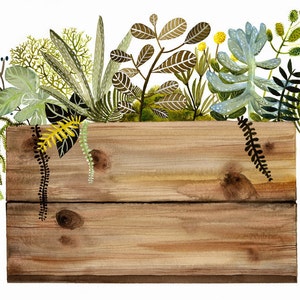 Watercolor painting print Crate and Plants Print, botanical, wood, succulents image 1