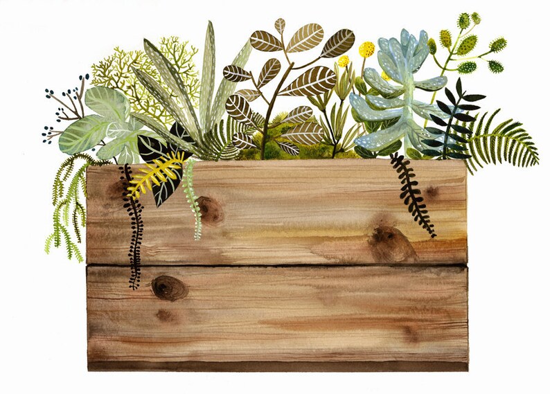 Watercolor painting print Crate and Plants Print, botanical, wood, succulents image 1