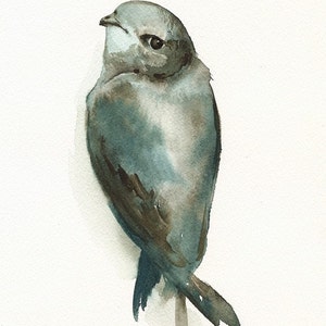 watercolor painting ,bird watercolor, decor, cottage, nature, grey, blue Miss Adorable Bird Art image 3
