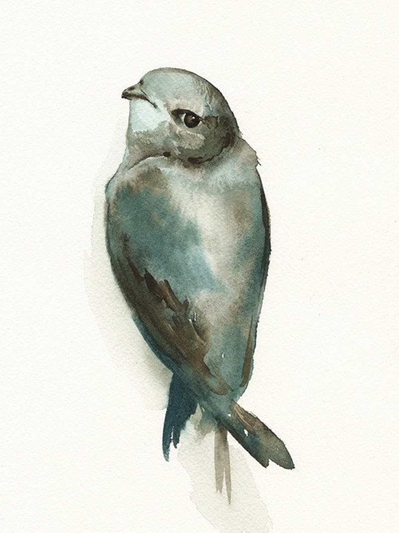 watercolor painting ,bird watercolor, decor, cottage, nature, grey, blue Miss Adorable Bird Art image 3