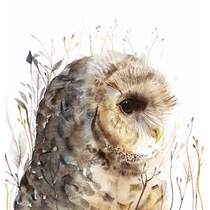 Owl art, owl painting, owl watercolor painting- Owl art- Spotted Owl -print after original watercolor