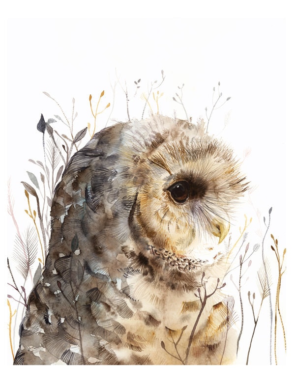 Owl art, owl painting, owl watercolor painting- Owl art- Spotted Owl …