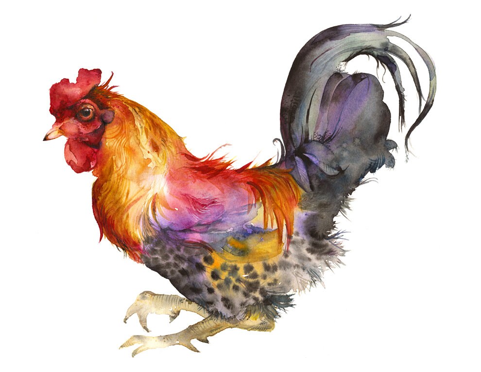 Rooster in Magenta and Gold- archival print