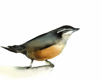 Nuthatch Archival print of original watercolor- bird art, cottage chic, shabby chic