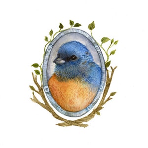 Bluebird Portrait - Archival Print of original watercolor - nursery art, bird lover