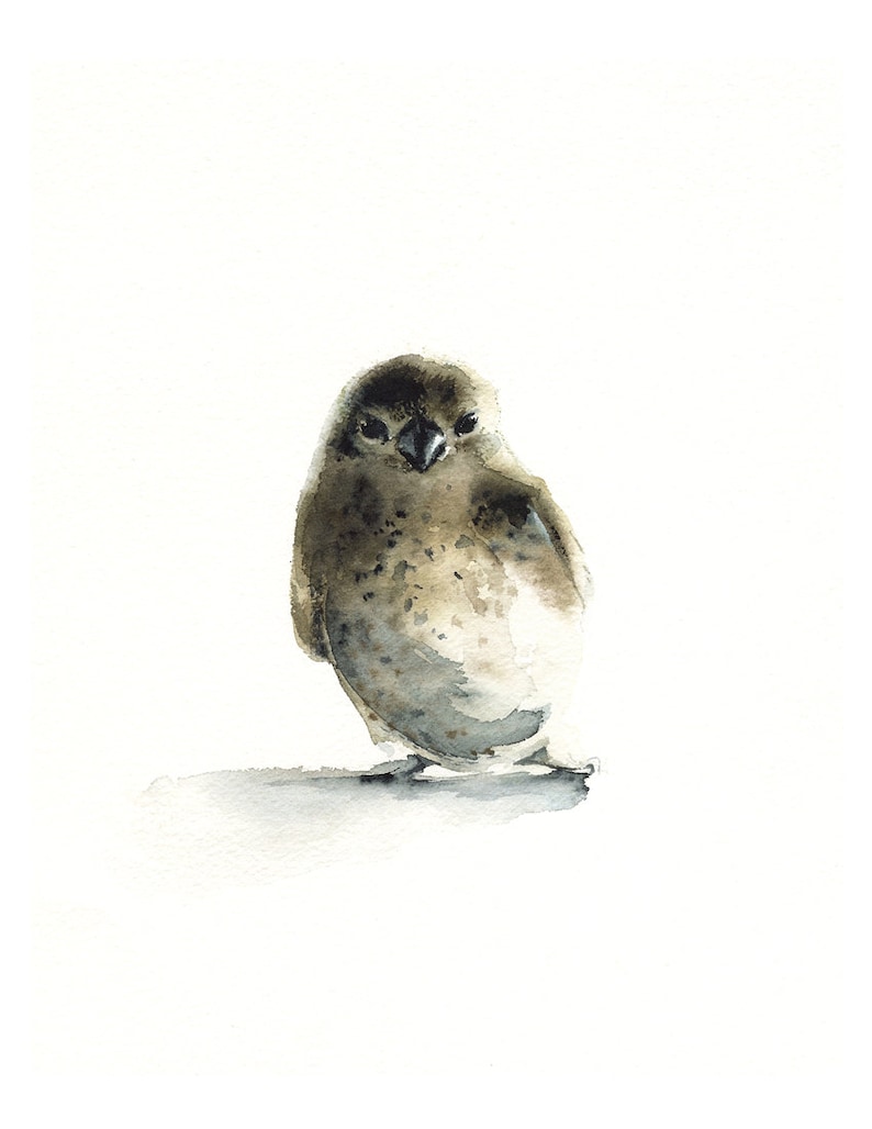 bird painting, bird watercolor, watercolor print, bird Tiny bird art, nature, watercolor painting, print image 1