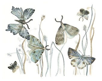 Moths Watercolor- watercolor painting reproduction- Moths No. 2   grey, blue, taupe 8 1/2 x 11" print