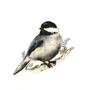 Nature Art - watercolor bird - Chickadee watercolor PRINT