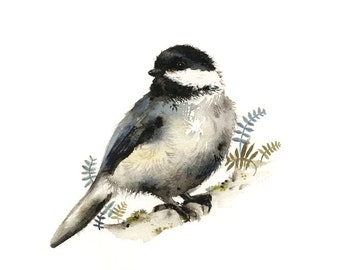 Nature Art - watercolor bird - Chickadee watercolor PRINT