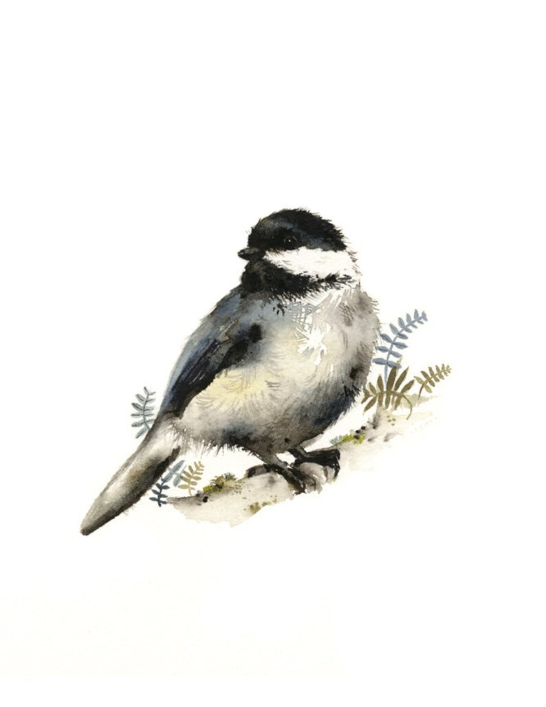 Nature Art watercolor bird Chickadee watercolor PRINT image 1