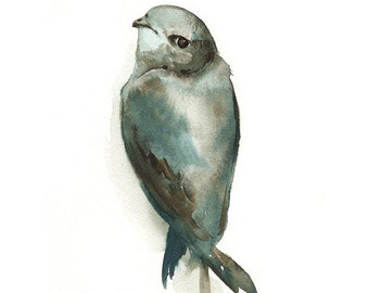 peinture à l'aquarelle, aquarelle d'oiseau, décor, cottage, nature, grise, bleu-« Miss Adorable »-Art d'oiseau