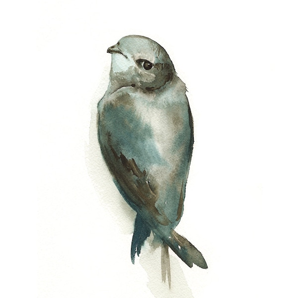 watercolor painting ,bird watercolor, decor, cottage, nature, grey, blue- "Miss Adorable" -Bird Art