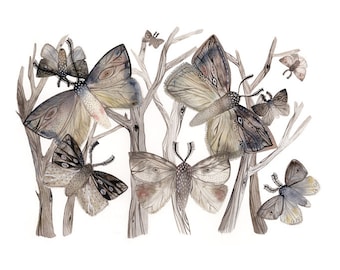 Moths No. 1  print- grey, taupe, rose- spring, nature