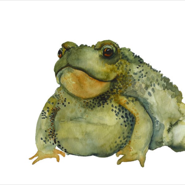 toad watercolor- Burp- toad art archival print