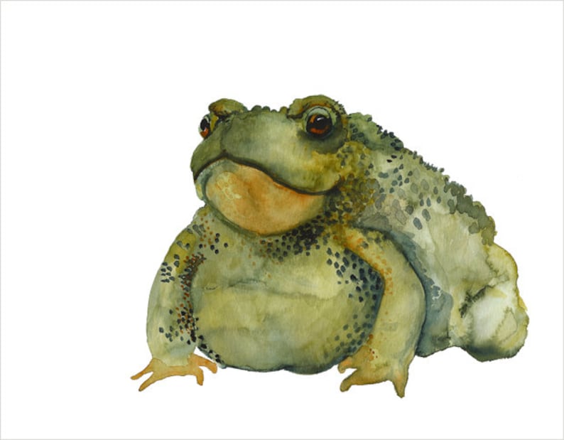 toad watercolor Burp toad art archival print image 1