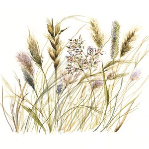 Grasses - print of original watercolor