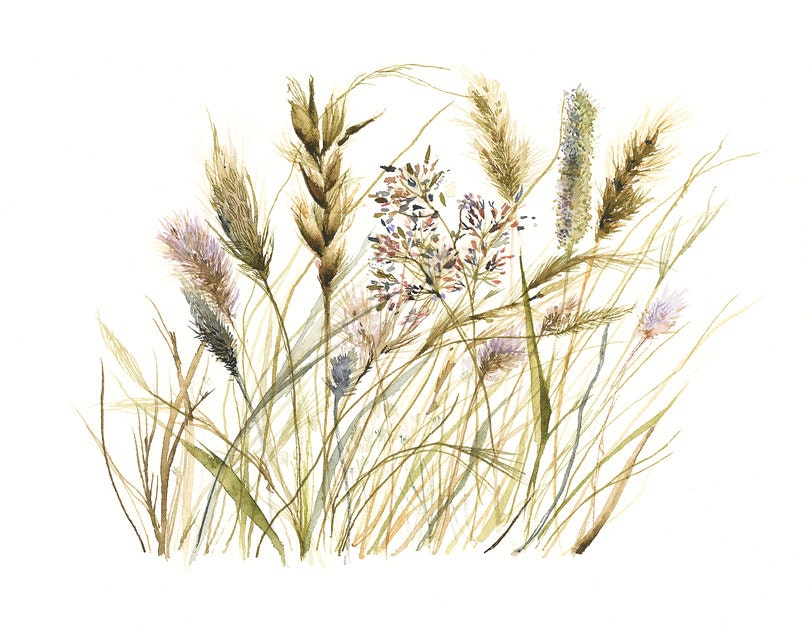 Gräser Bilder: Unleashing Creativity with Grass Drawings!