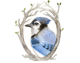 Blue Jay Portrait - Archival Print of original watercolor - nursery art, bird lover