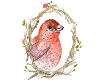 House Finch Portrait - Archival Print of original watercolor - nursery art, bird lover