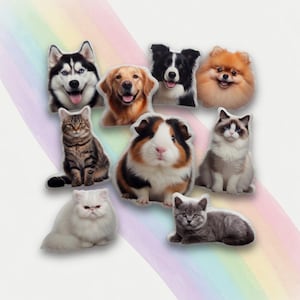 Può includere: Una collezione di nove adesivi a tema animali domestici con varie razze di cani, gatti e una cavia. Gli adesivi raffigurano un Husky siberiano, un Golden Retriever, un Border Collie, un Pomerania, un gatto tigrato, una cavia, un gatto Ragdoll, un gatto Persiano e un gattino grigio.