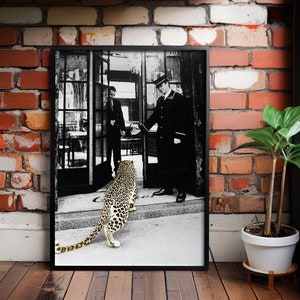 Blanco y negro - Panther in the Jewelry Shop Print - Fotografía vintage - Impresión de moda - Década de 1950 - Arte de pared - Cartel de guepardo - Lienzo