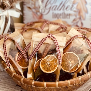 Simmer Pot | Fall Spices | Gift Topper | Hostess Gift | Simmering Spices | Stocking Stuffer | Housewarming Gift | Birthday Gift