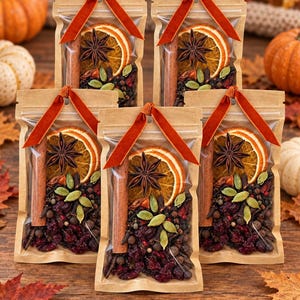 May include: Five clear-fronted kraft paper pouches filled with dried orange slices, star anise, cinnamon sticks, green cardamom pods, and dark red dried berries. Each pouch is tied at the top with a burnt orange velvet ribbon.