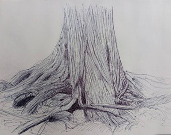 Racines d'arbre 1