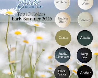 May include: A promotional graphic for Silk All-In-One Mineral Paint displaying the Top 10 Colours for Early Summer 2026. The image features ten circular colour swatches labelled Whitecap, Salt Water, Endless Shore, Serenity, Cactus, Acadia, Smoky Mountains, Deep Sea, Black Sands, and Anchor, set against a background of white daisies.