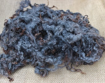 Gotland Cross Dark Gray Natural Colored Wool Washed Curly Wool Locks 1 oz