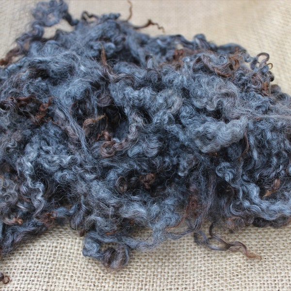 Gotland Cross Dark Gray Natural Colored Wool Washed Curly Wool Locks 1 oz
