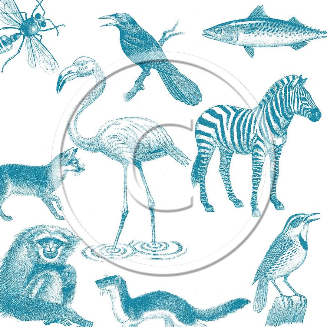 Wildlife Set 3 Brushes Set of 26 Different Etsy
