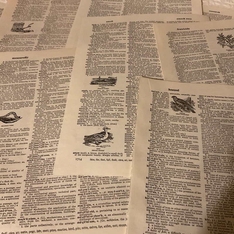 Dictionary Page - Etsy