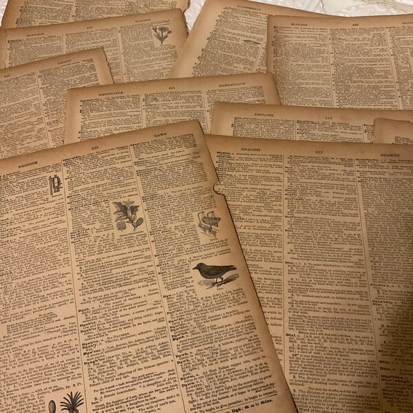 1864 Antique Dictionary Pages Pack - Lucky Dip Grab Bag - 15 Sheets For Collage, Junk Journals, Scrapbooking