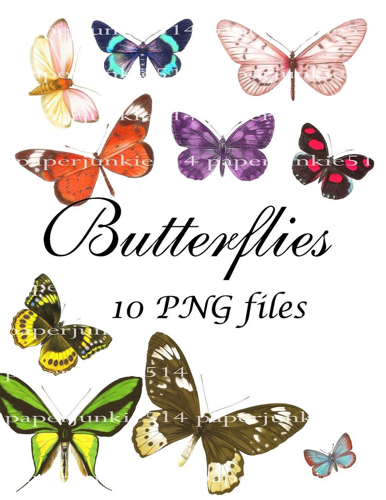 Digital PNG Files Butterflies Digital, Download, Digital Graphics image 2